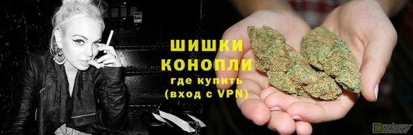 PSILOCYBIN Новозыбков