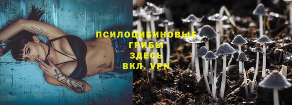 скорость Новокубанск
